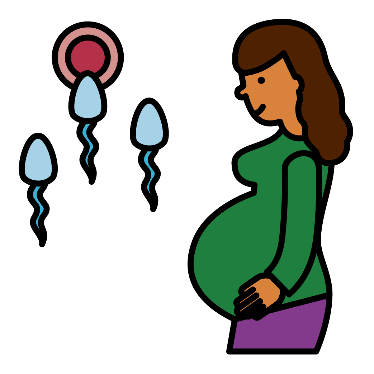 A pregnant woman with sperm and an egg next to her